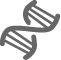 Icon DNA